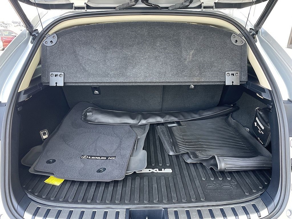 2019 Lexus NX 300 Luxury photo 25