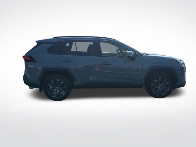 2023 Toyota RAV4 Hybrid XLE Premium photo 5