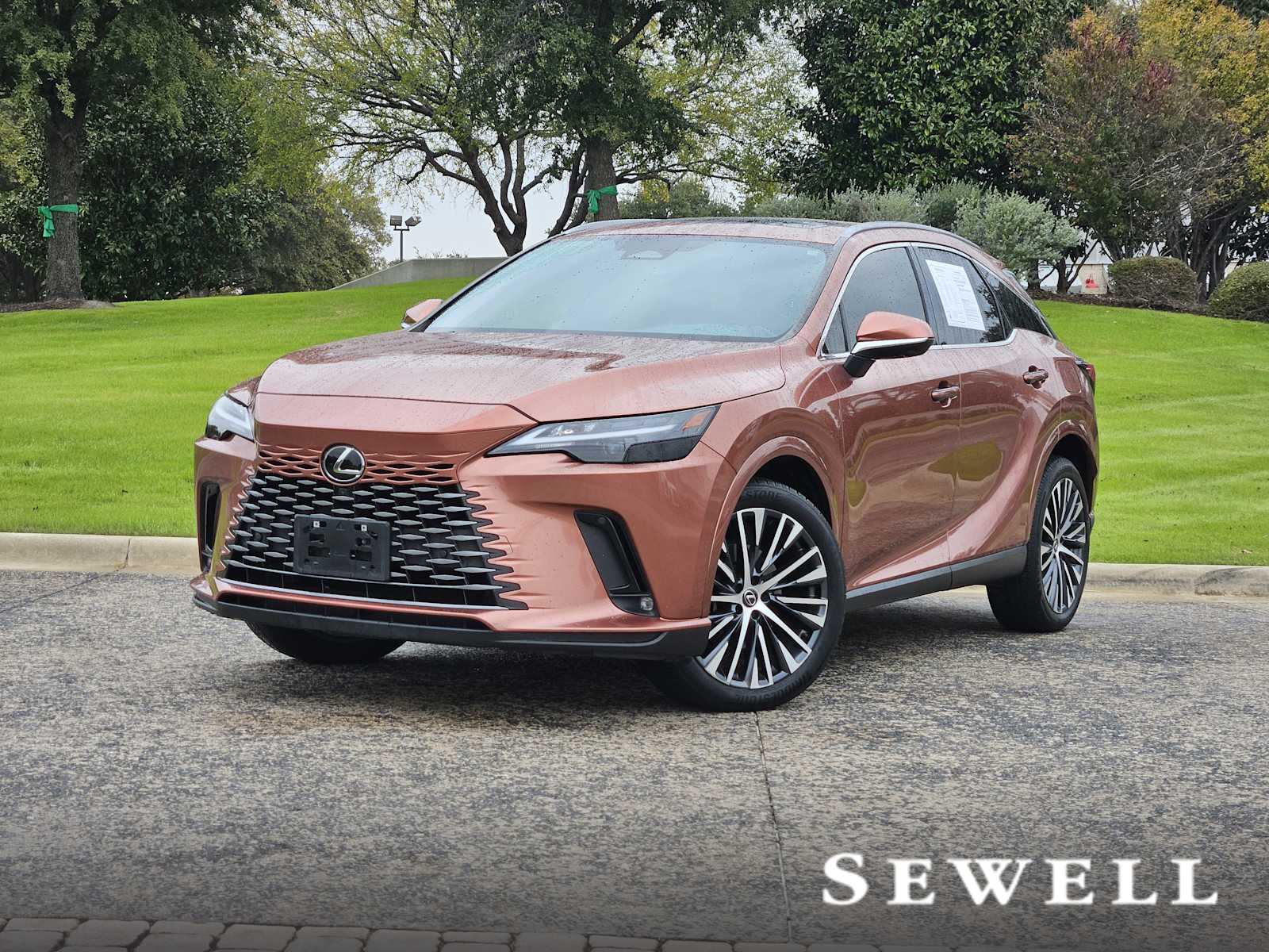 2023 Lexus RX 350's photo