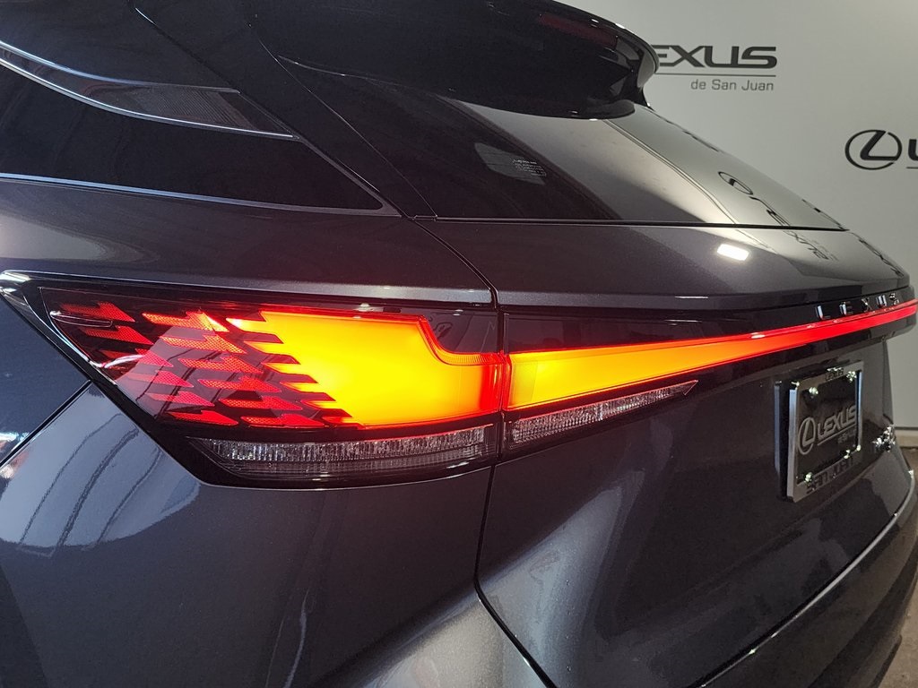 2025 Lexus RX 450h+ Luxury photo 10