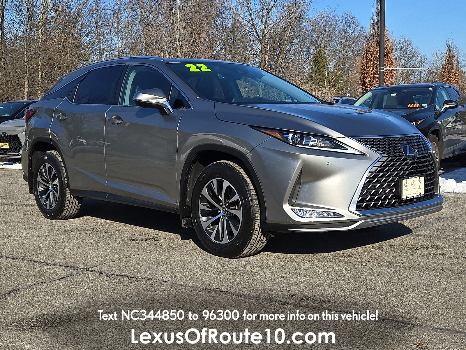 2022 Lexus RX 350's photo