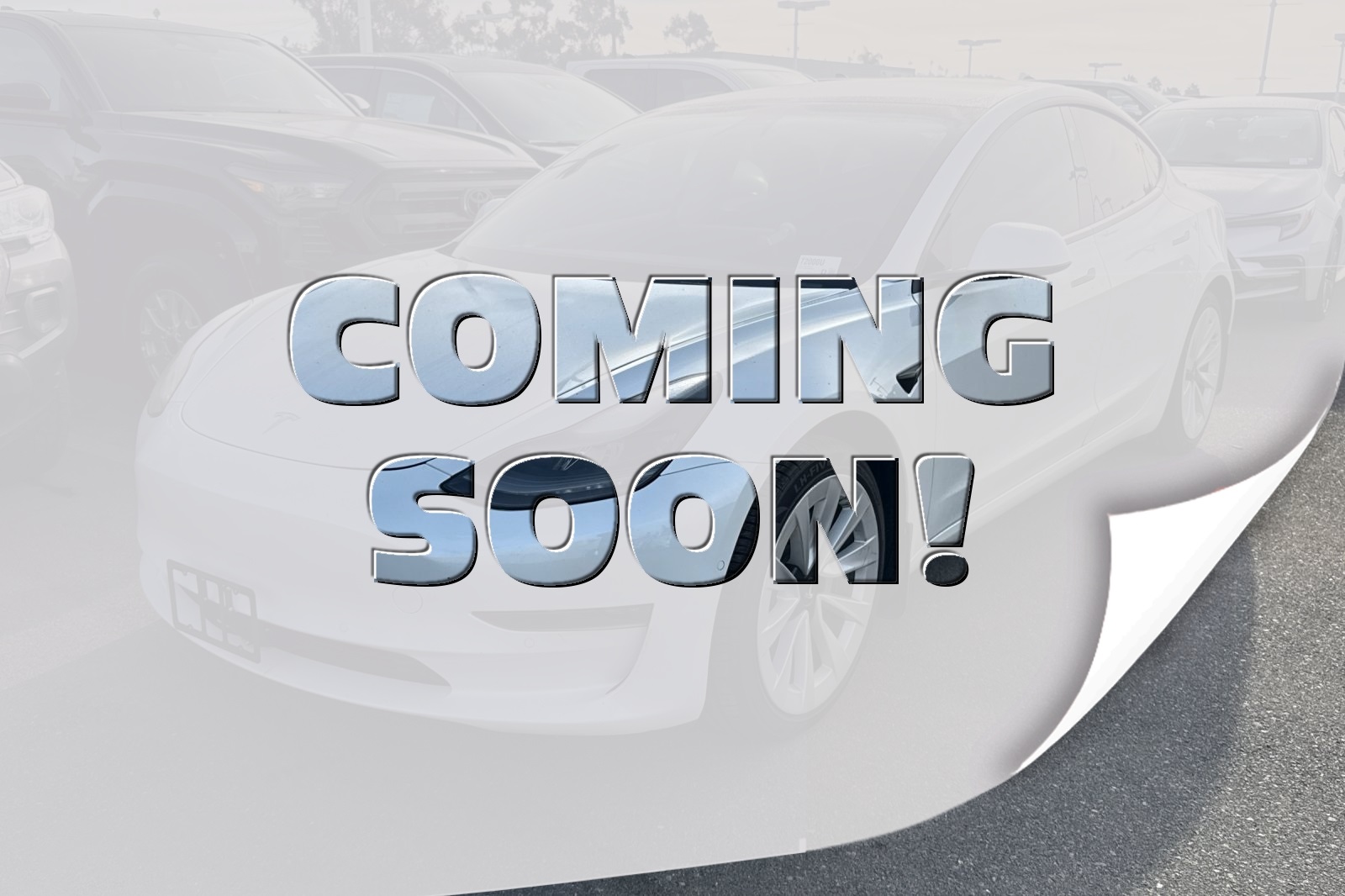 2021 Tesla Model 3 Base's photo