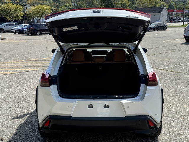 2020 Lexus UX 200 Premium photo 7