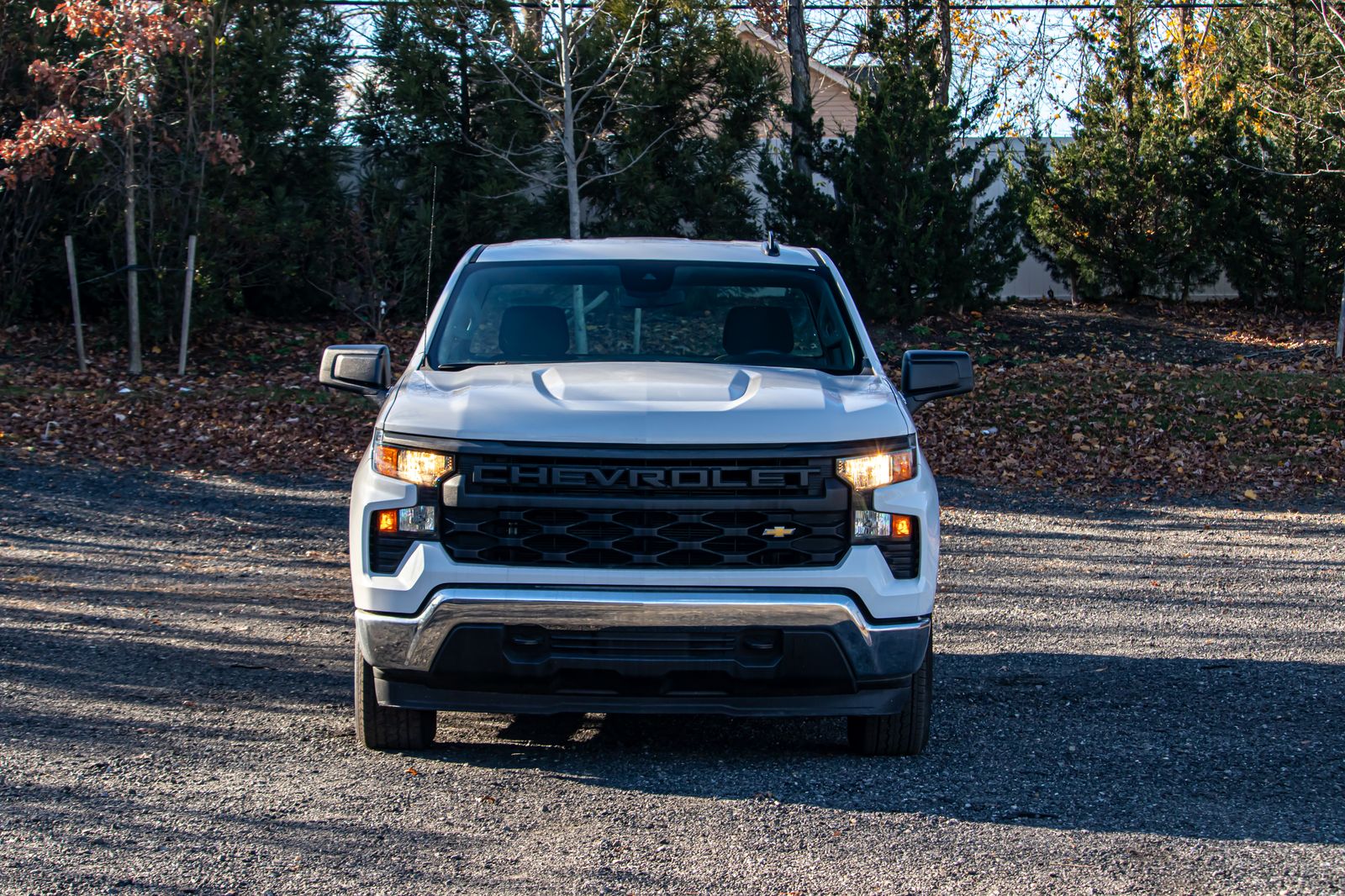 2024 Chevrolet Silverado 1500 photo 2