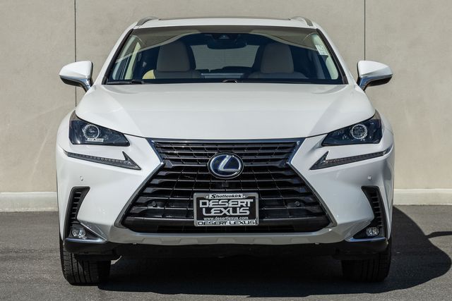 2019 Lexus NX 300h Luxury photo 2
