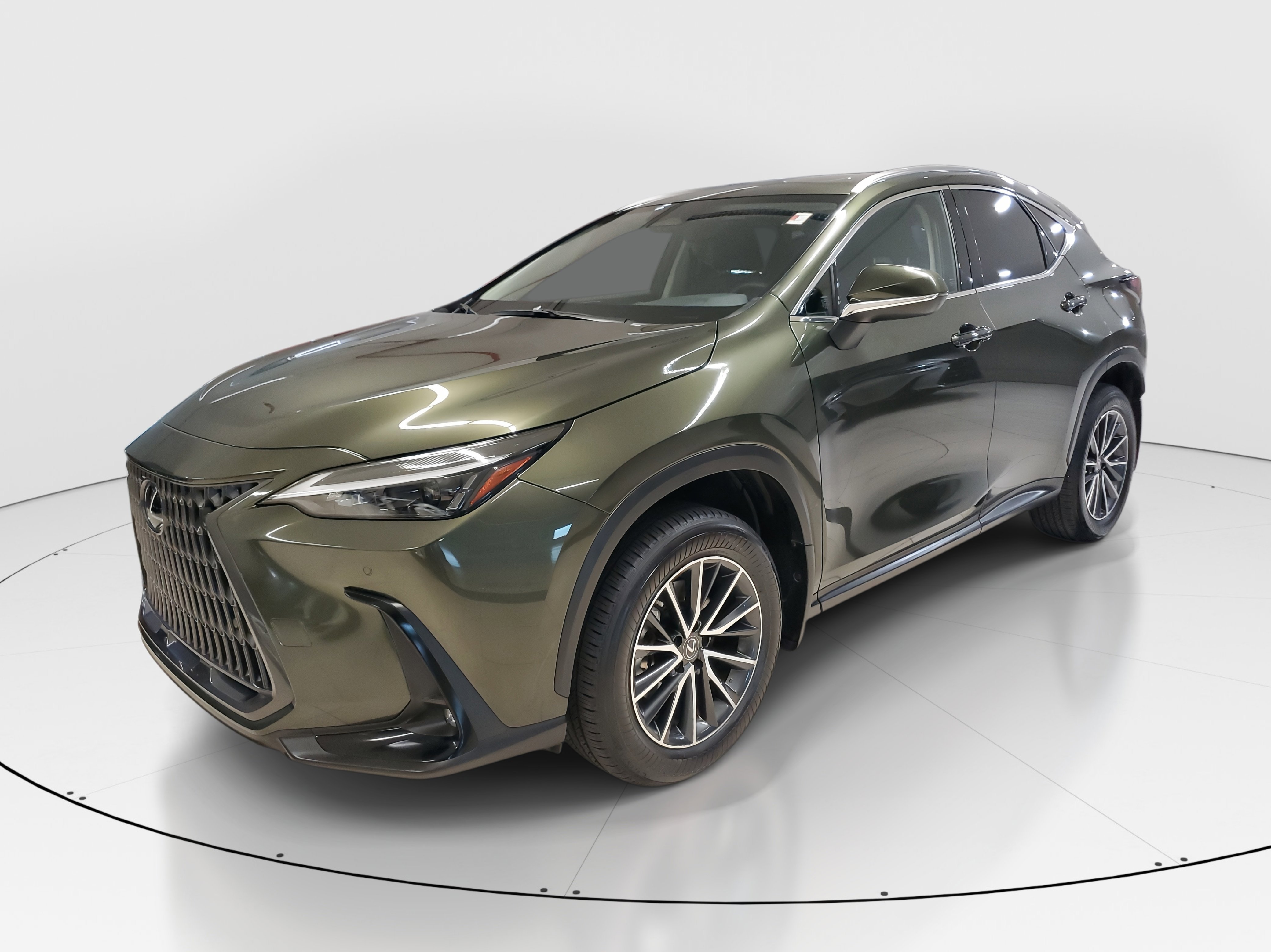 2022 Lexus NX 350 Premium photo 4