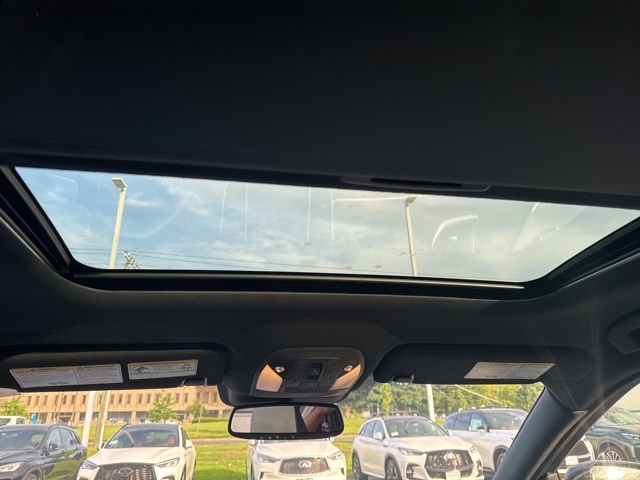 View 15