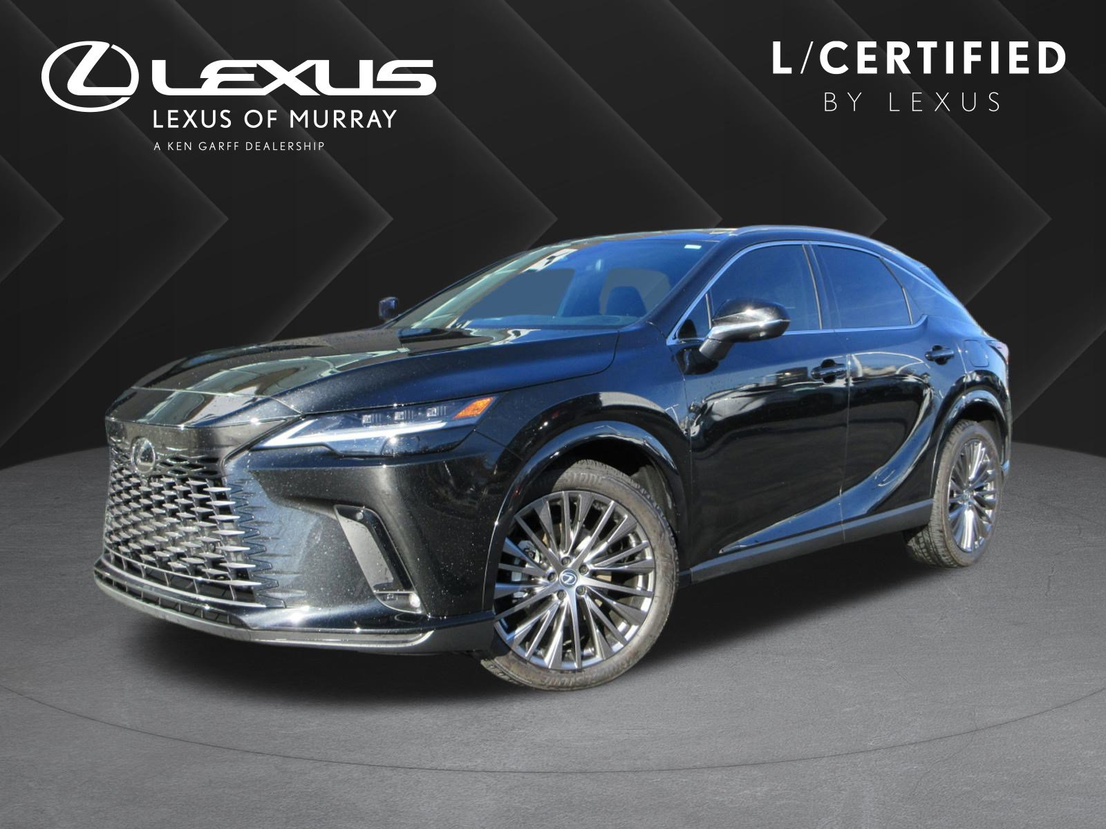 2024 Lexus RX Hybrid 350h's photo