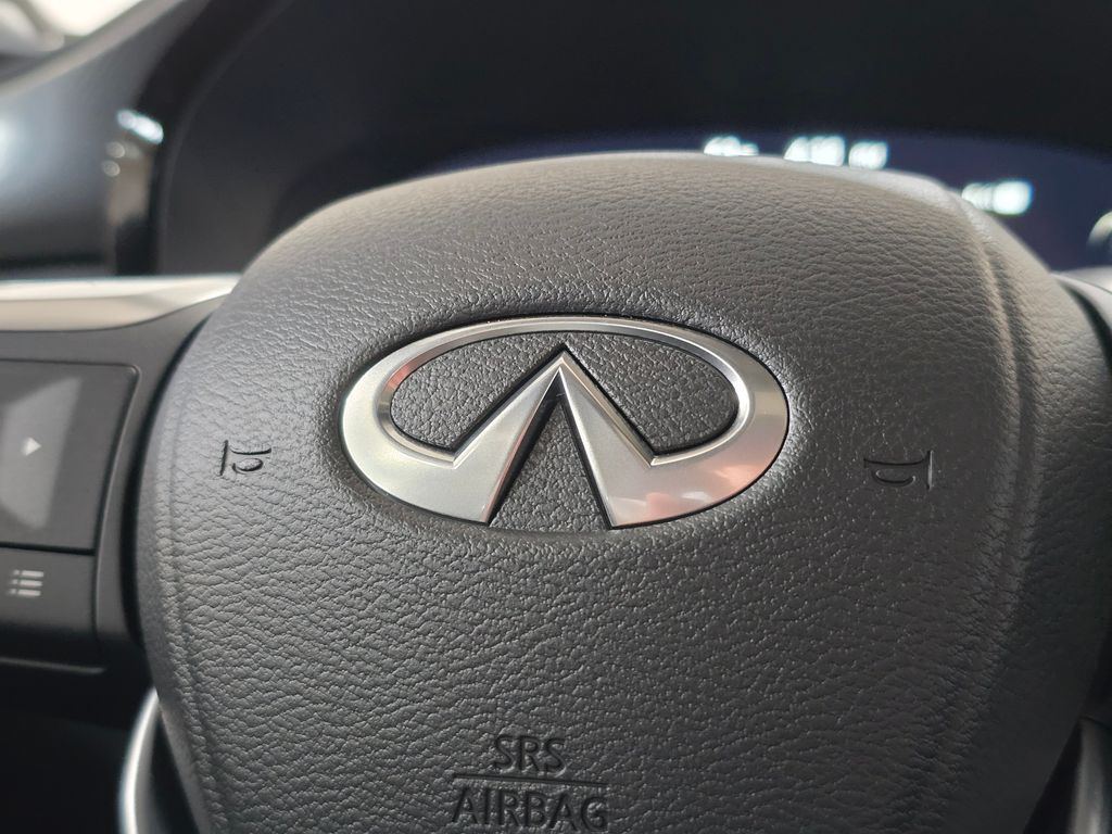 2025 Infiniti QX60 Luxe AWD photo 19