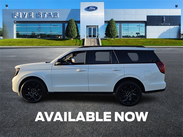 2025 Ford Expedition Platinum photo 3