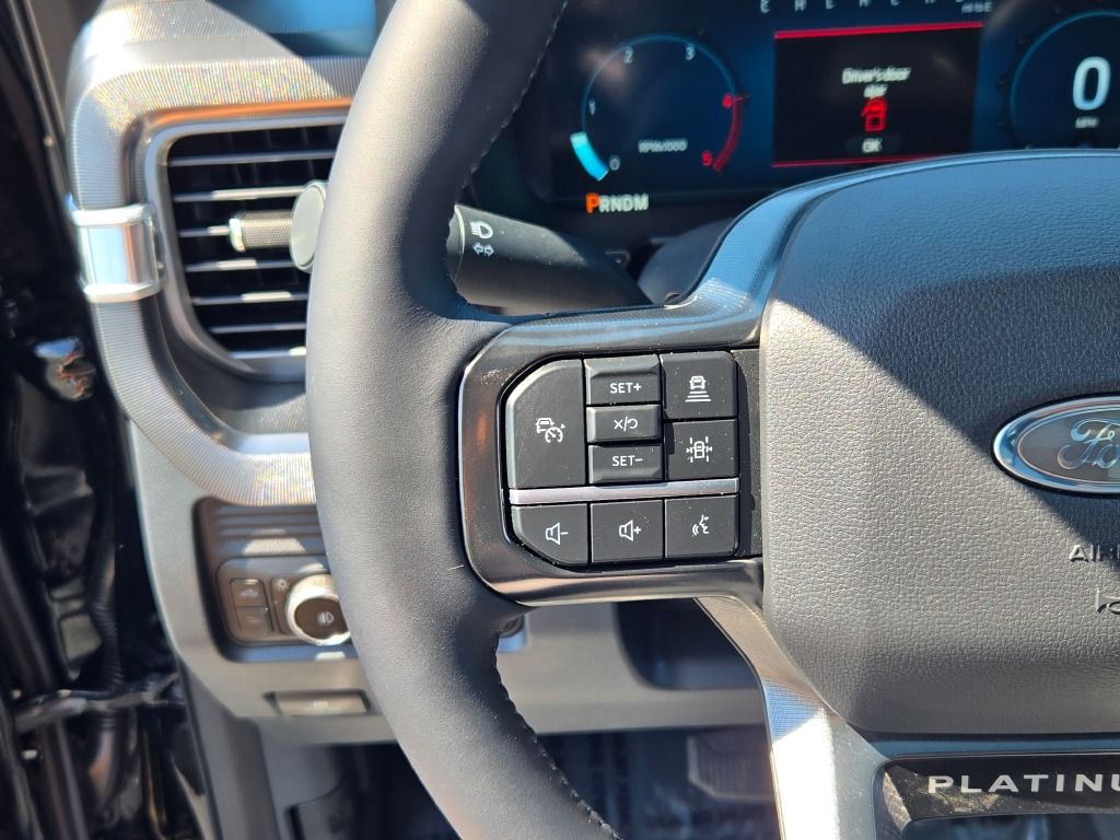 2025 Ford F-250 Platinum photo 32