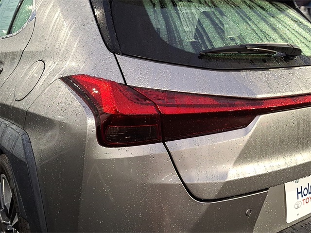 2021 Lexus UX 250h photo 14