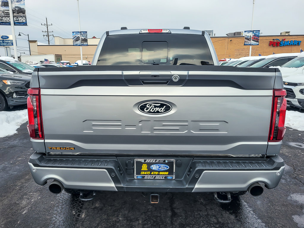 2025 FORD F-150 - Image 5