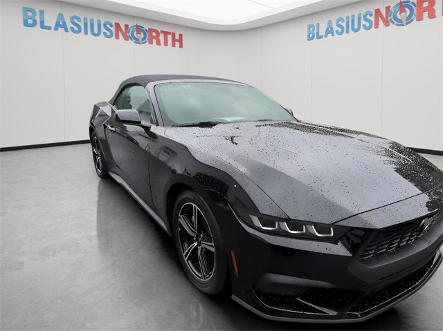 2024 Ford Mustang EcoBoost Premium photo 4