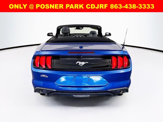 2023 Ford Mustang EcoBoost Premium photo 6