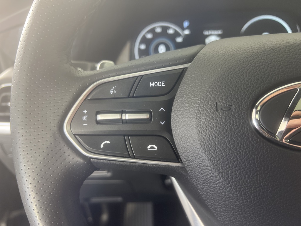 2022 Hyundai Palisade Calligraphy photo 20