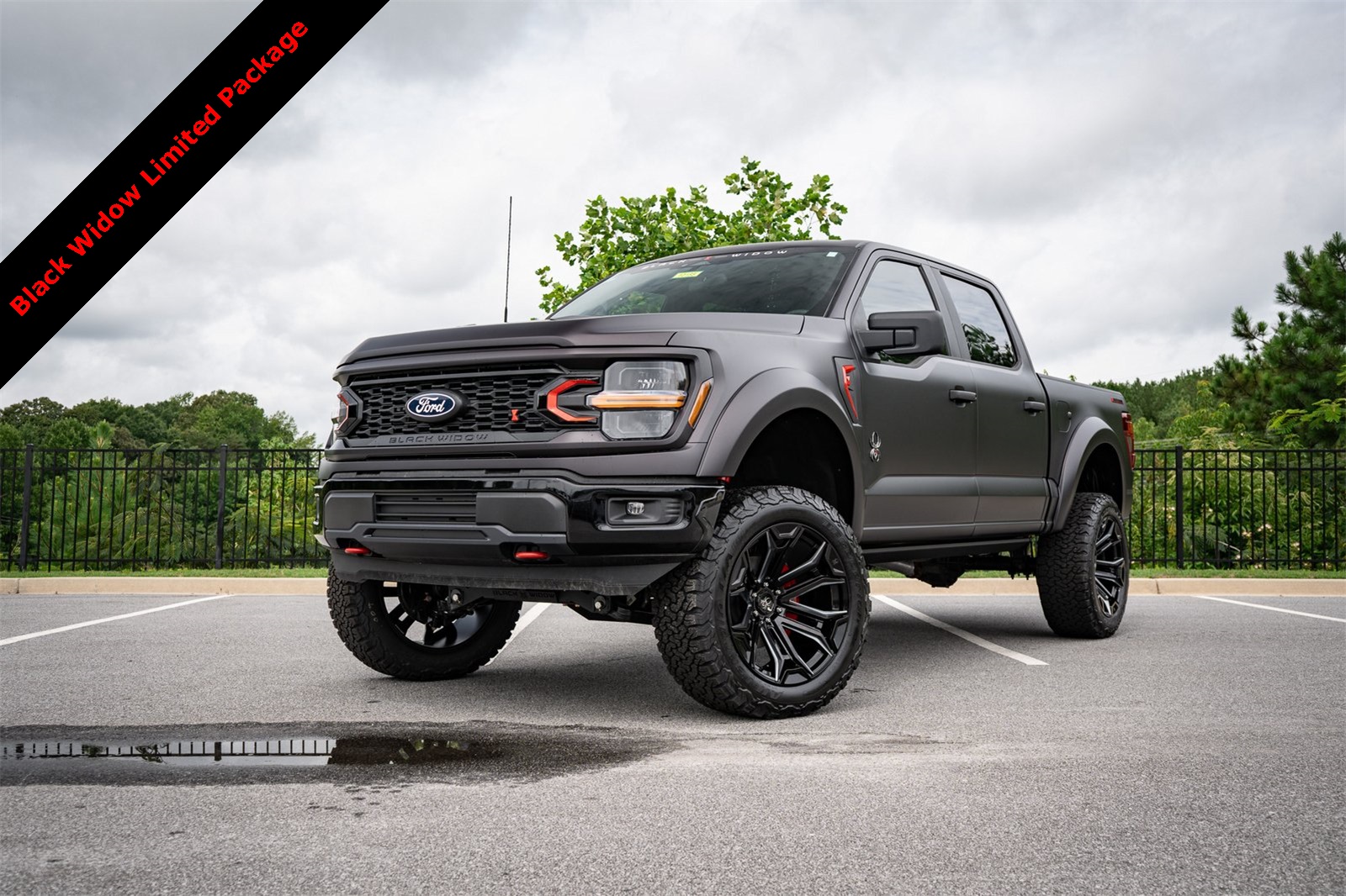 2025 Ford F-150 STX's photo