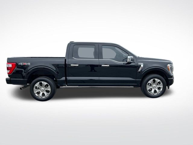 2023 Ford F-150 Platinum photo 2