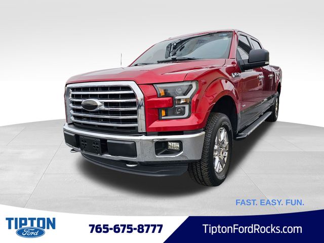 2015 Ford F-150 XLT's photo