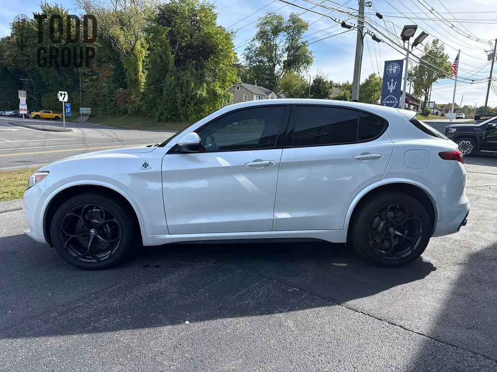 2018 Alfa Romeo Stelvio Quadrifoglio photo 2