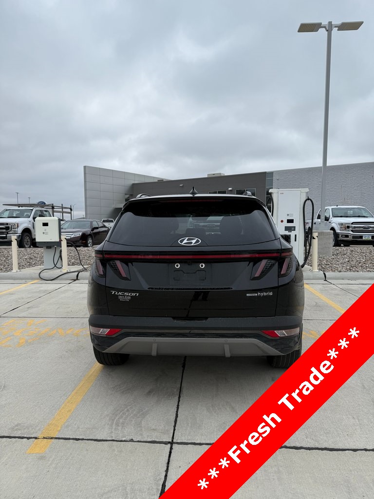 2023 Hyundai Tucson Hybrid Limited photo 3