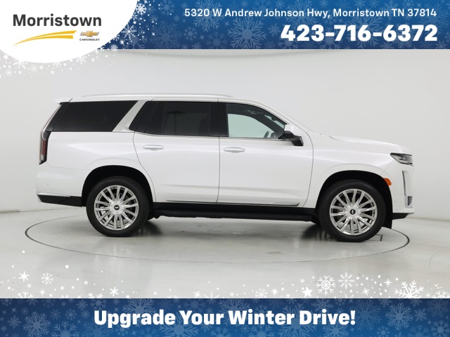 2020 Cadillac Escalade ESV Premium Luxury's photo