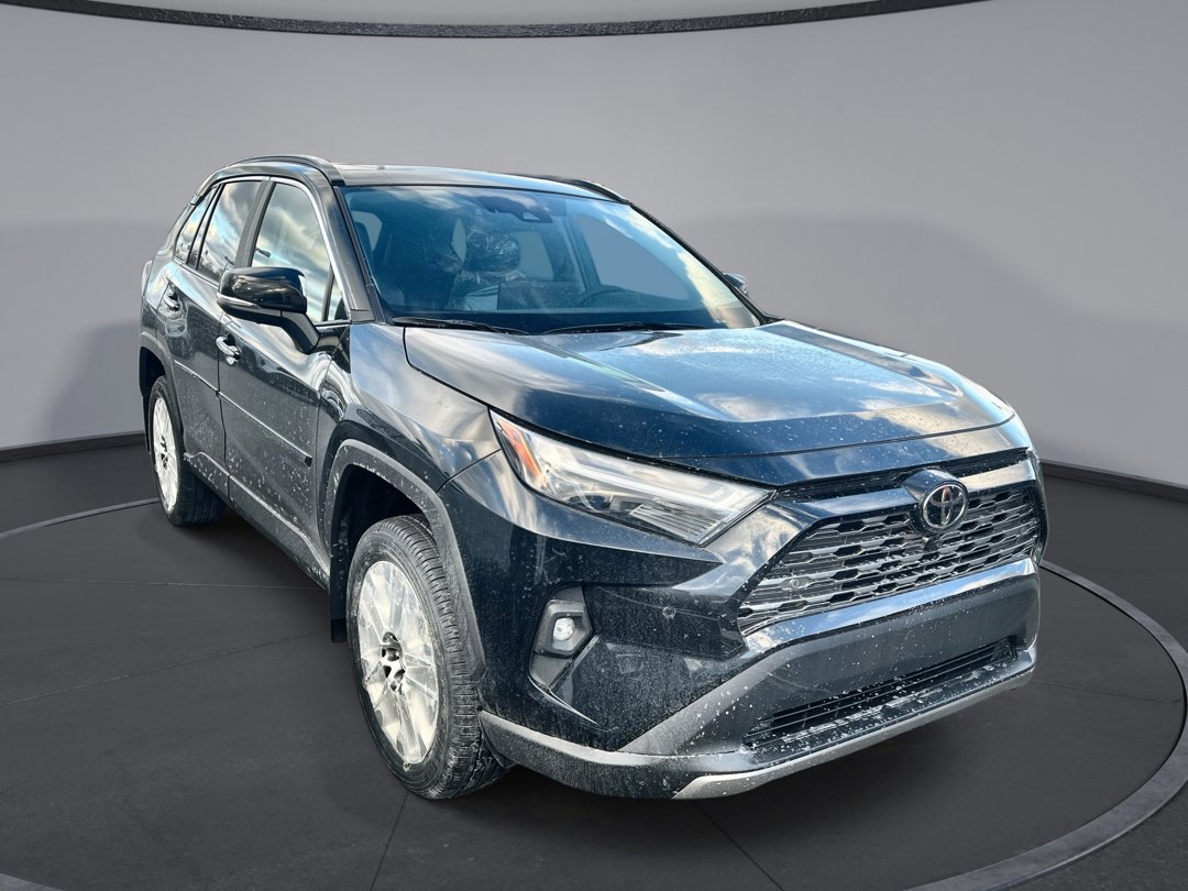 2025 Toyota RAV4 Limited's photo