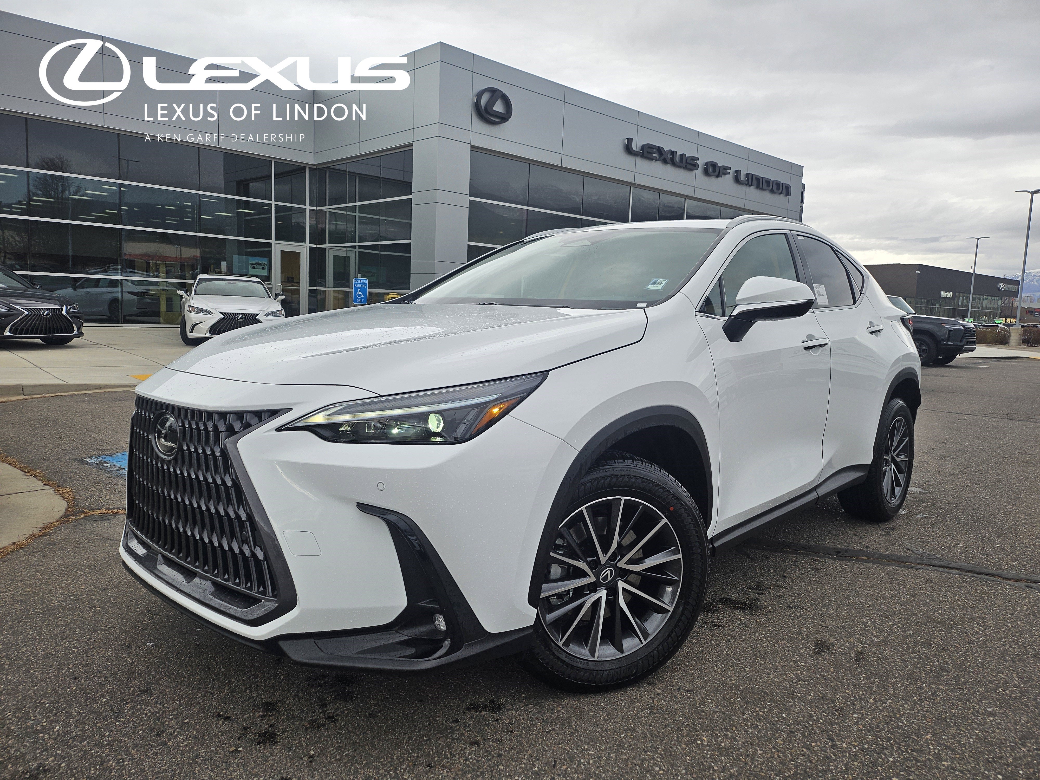 2026 Lexus NX 350's photo