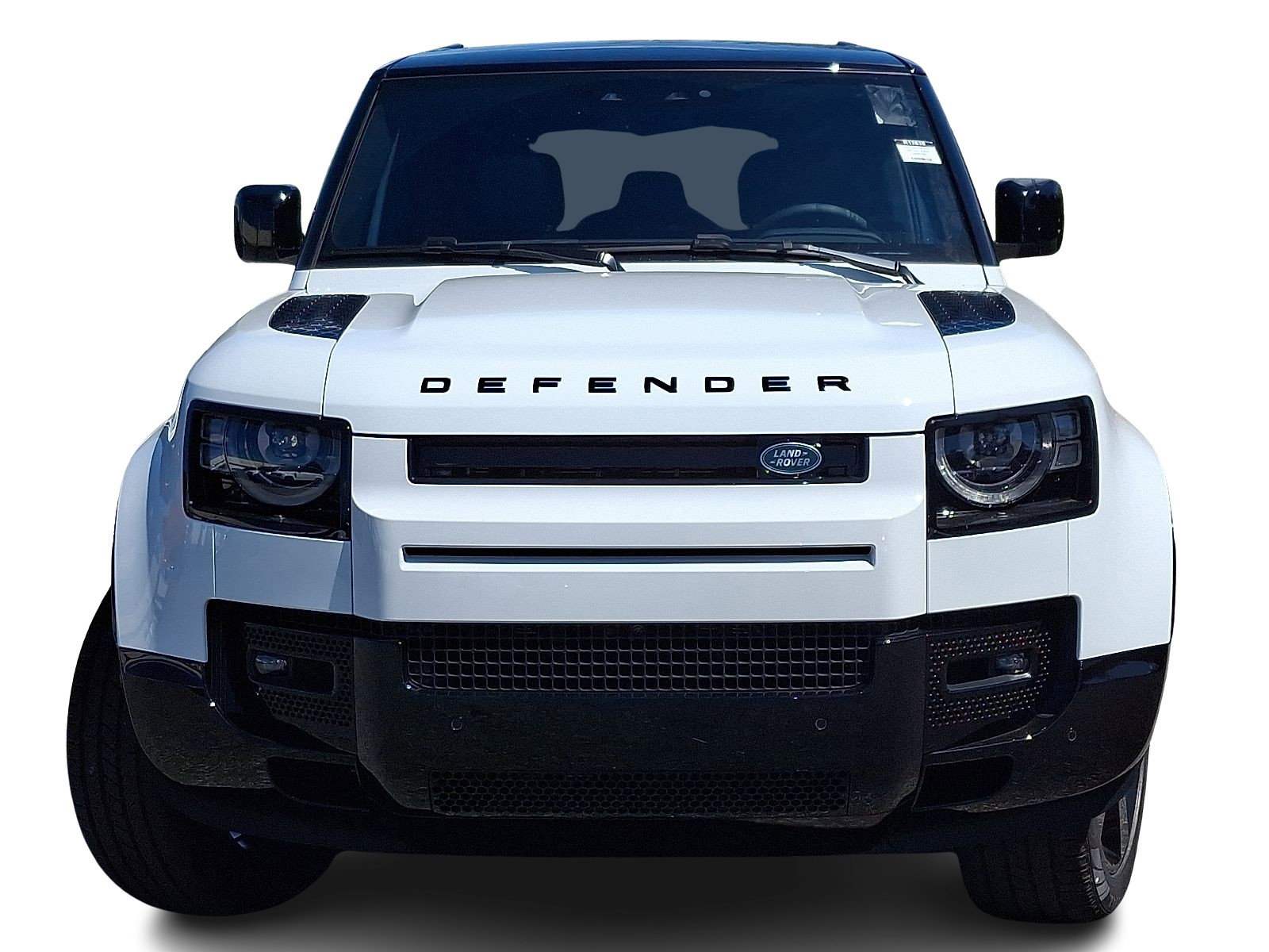 2025 Land Rover Defender 110 X-Dynamic SE photo 2