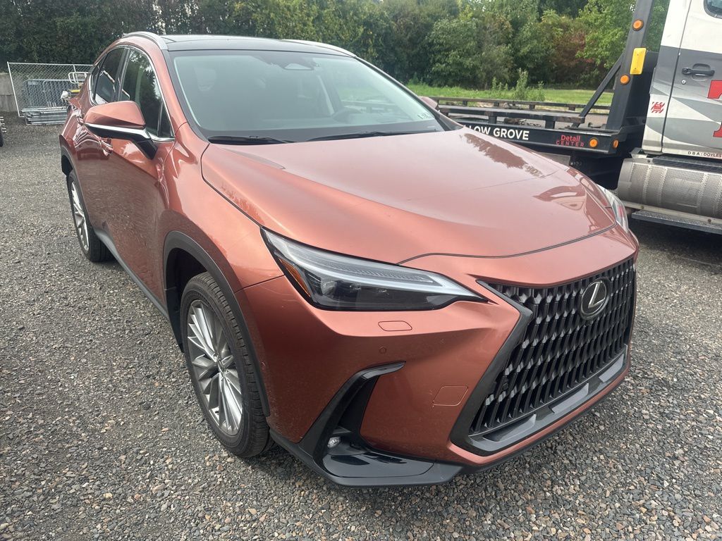 2025 Lexus NX 350h Luxury photo 3