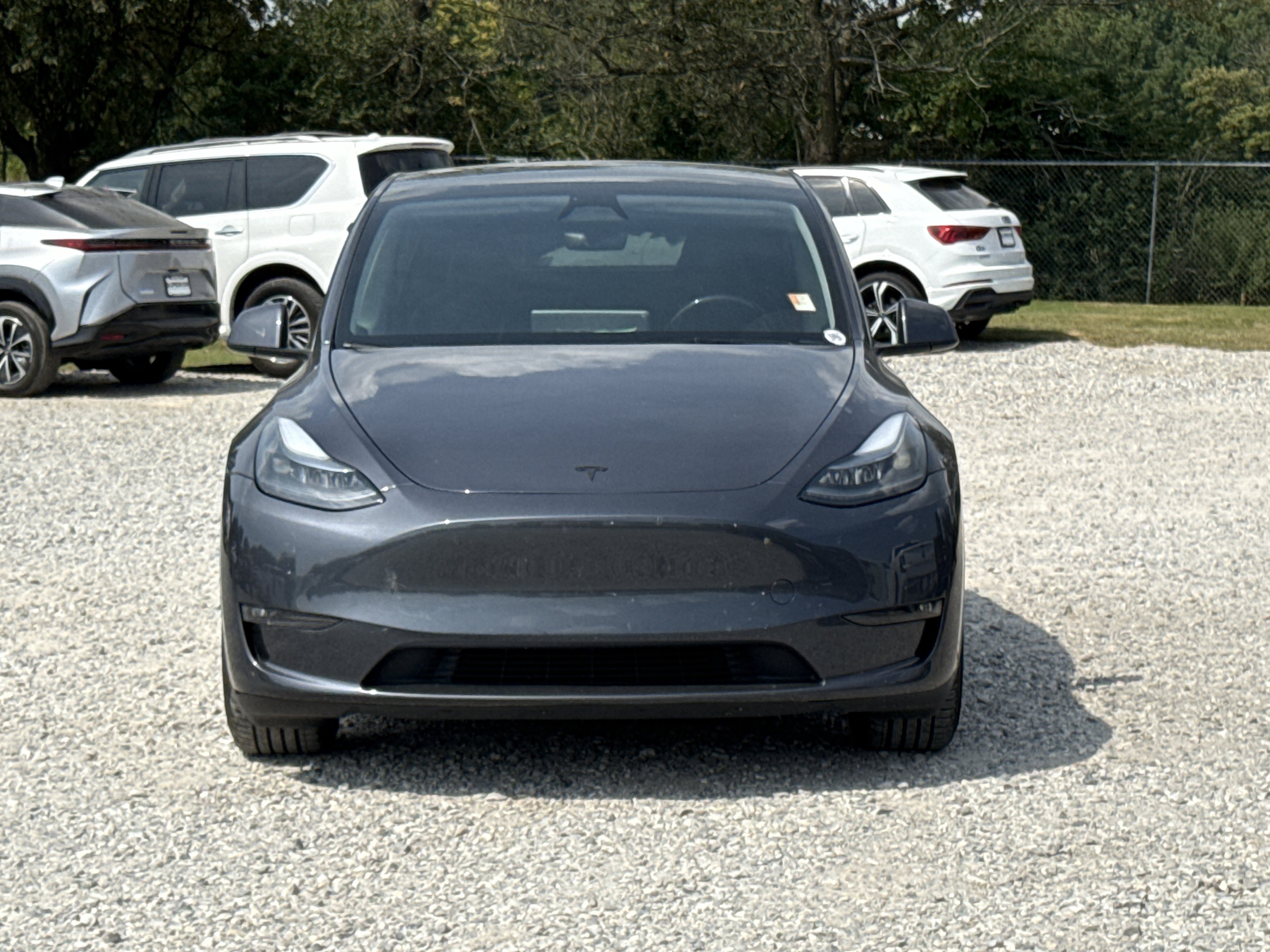 Used 2023 Tesla Model Y Performance with VIN 7SAYGDEF0PF892123 for sale in Siloam Springs, AR