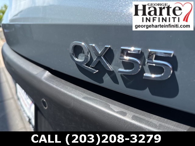 2025 Infiniti QX55 Luxe photo 27