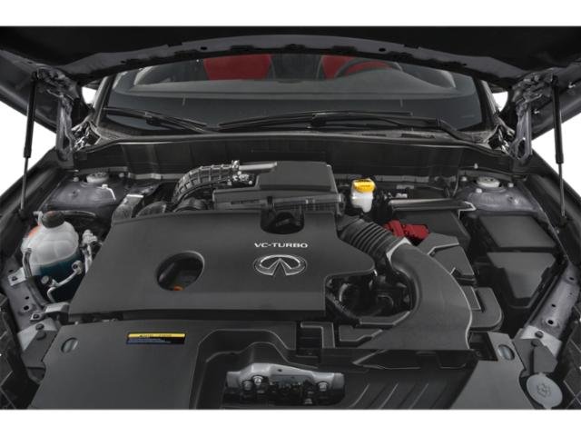 2024 Infiniti QX50 SPORT photo 14