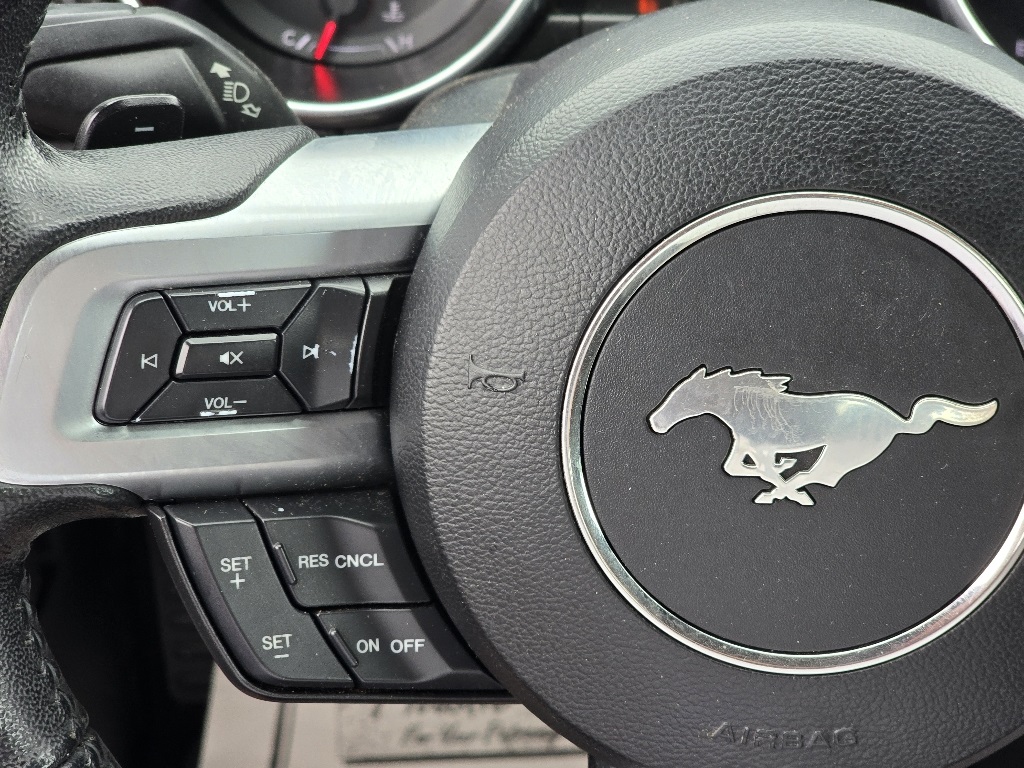 2019 Ford Mustang EcoBoost photo 14