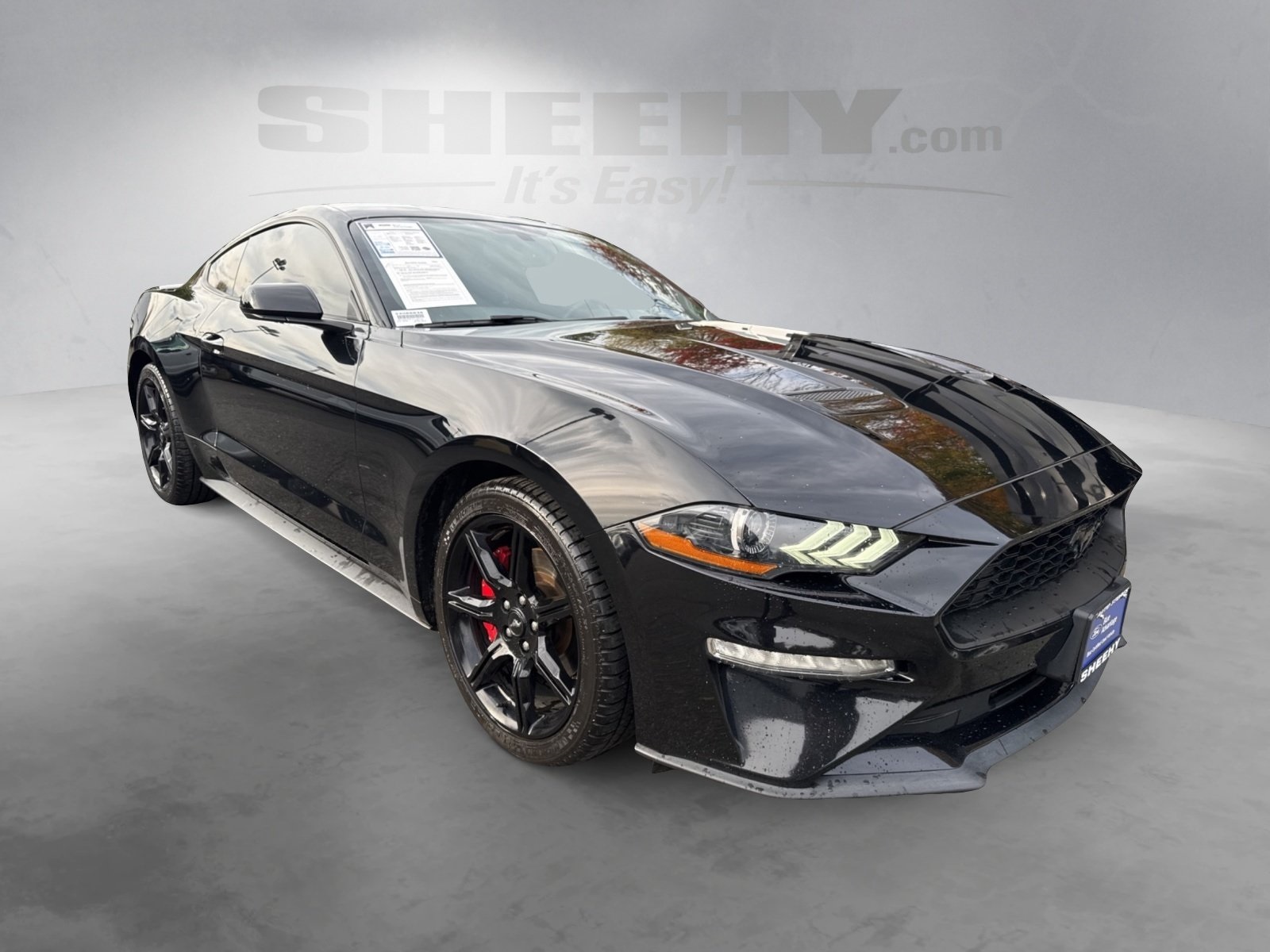 Certified 2020 Ford Mustang EcoBoost with VIN 1FA6P8TH5L5172804 for sale in Warrenton, VA