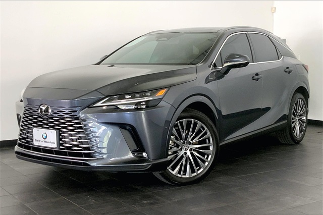 2024 Lexus RX PHEV 450h+'s photo