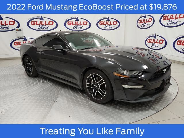 2022 Ford Mustang EcoBoost's photo
