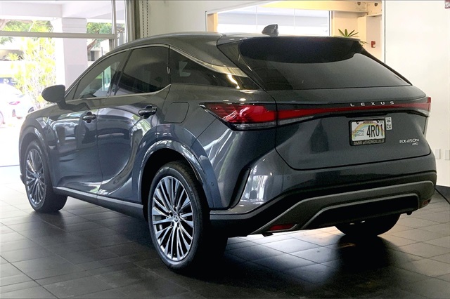 2024 Lexus RX 450h+ Luxury photo 6