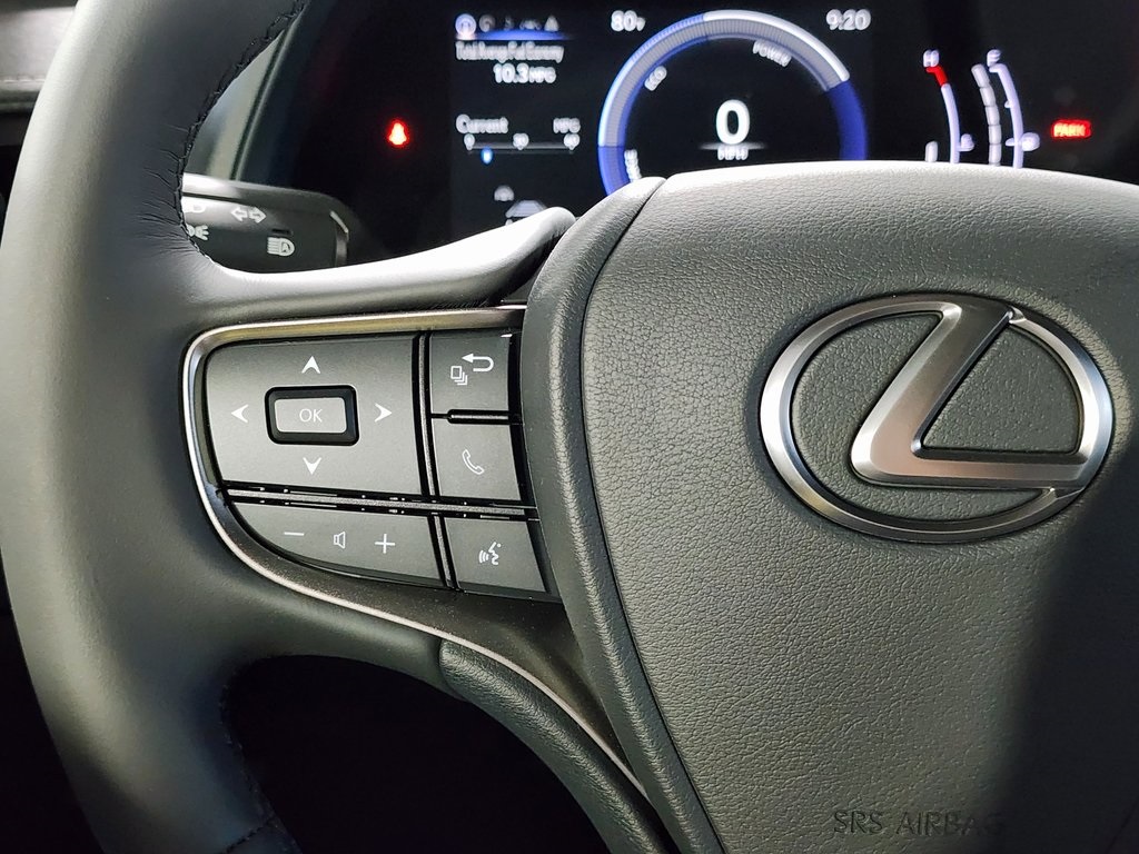 2025 Lexus UX photo 14
