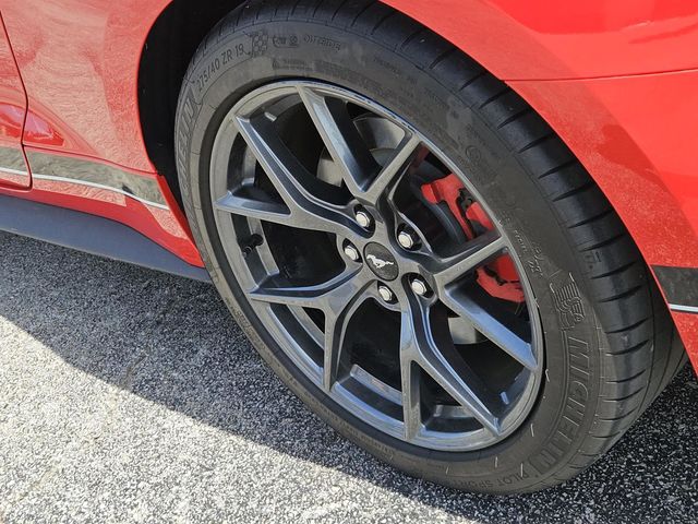 2021 Ford Mustang Mach 1 photo 9