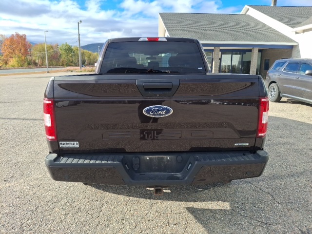 2019 Ford F-150 XL photo 3