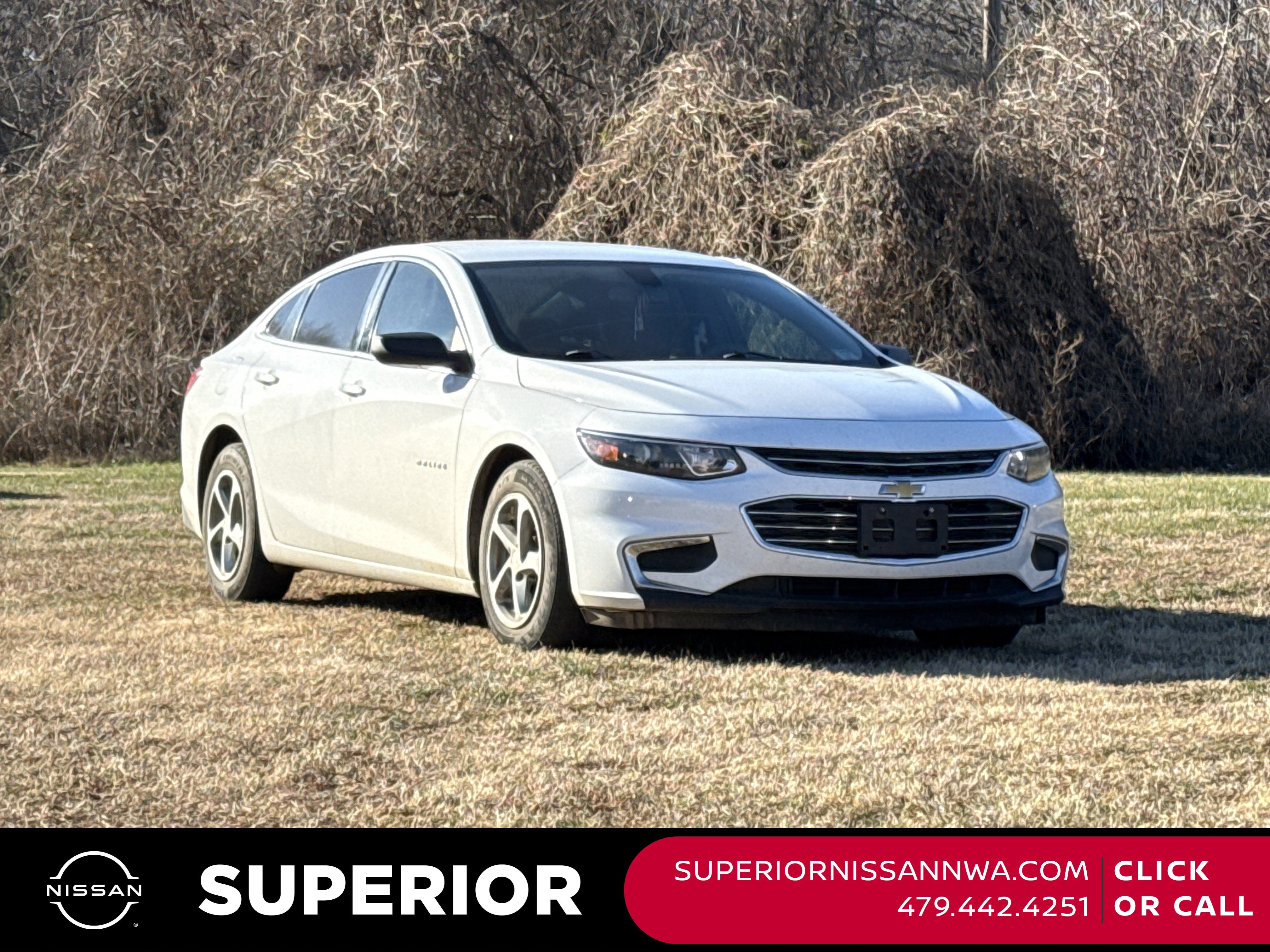 2016 Chevrolet Malibu 1FL's photo