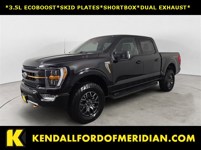 2023 Ford F-150 Tremor's photo