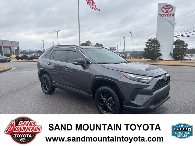 2023 Toyota RAV4 XLE's photo