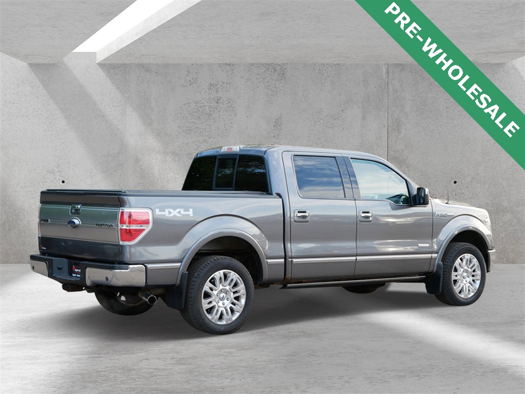 2013 Ford F-150 Platinum photo 3
