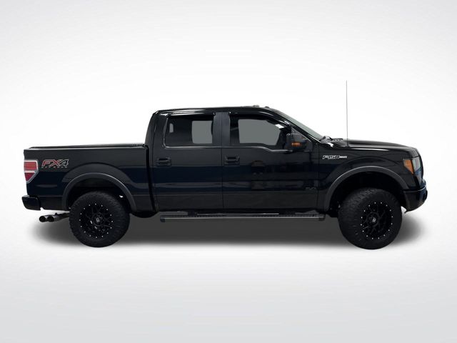 2013 Ford F-150 photo 2