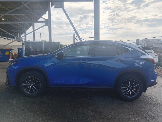 2024 Lexus NX 350 photo 2