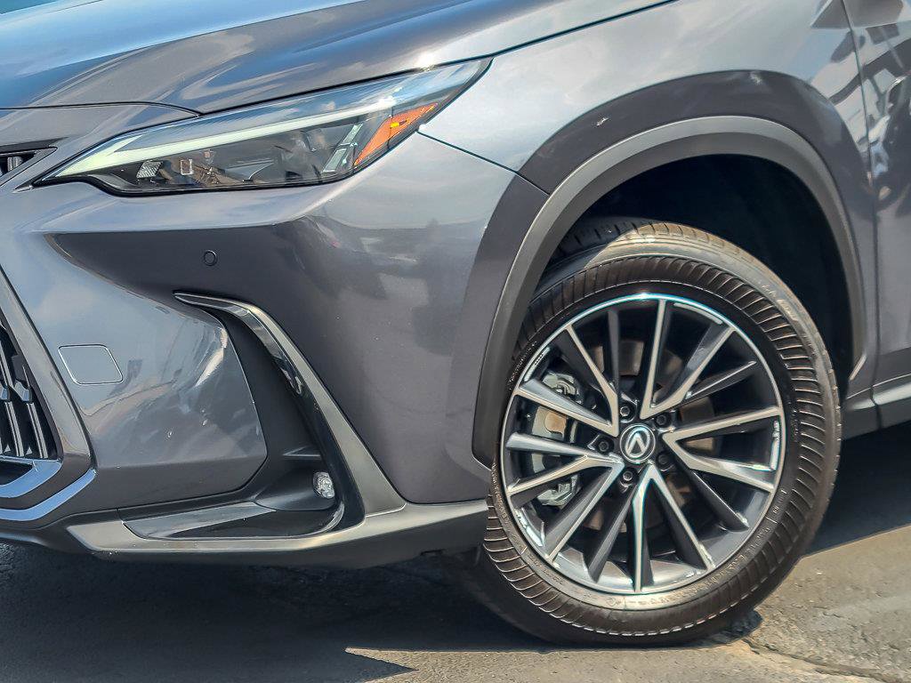 2025 LEXUS NX - Image 3