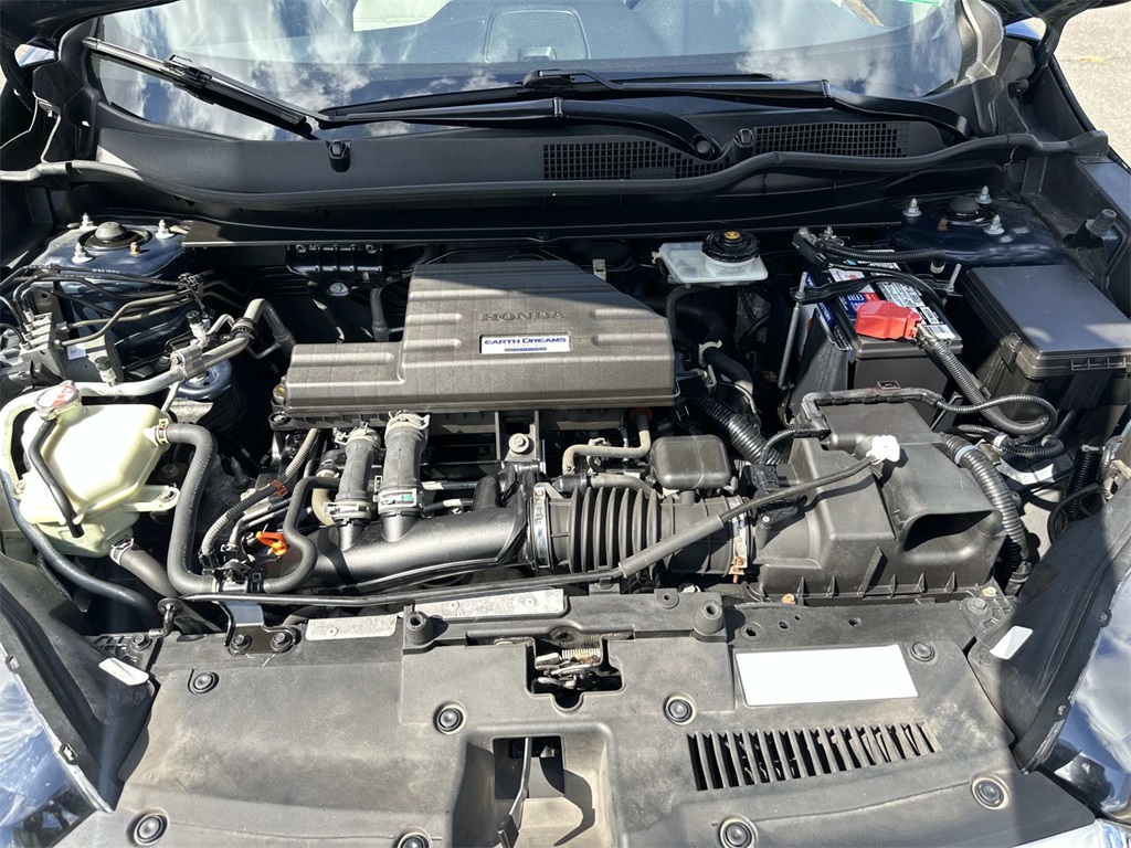 2017 Honda CR-V EX-L photo 14