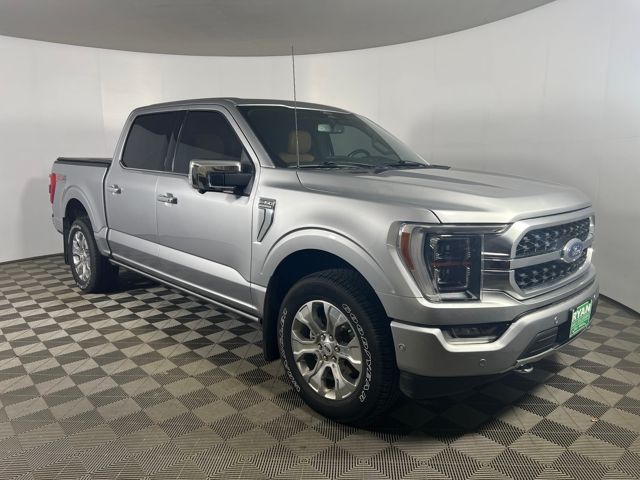 2022 Ford F-150 Platinum's photo